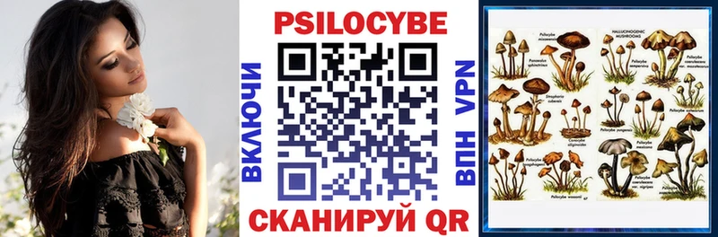 кракен как зайти  Богданович  Псилоцибиновые грибы GOLDEN TEACHER 